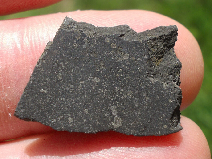 Smara 004 C2 Ung #6 - 1,6 g