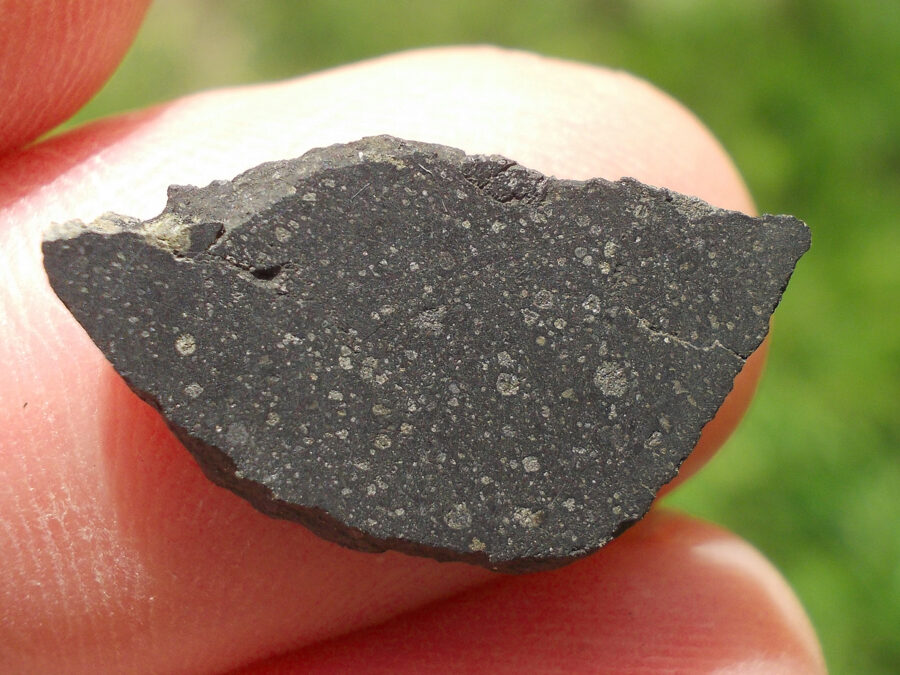 Smara 004 C2 Ung #7 - 1,1 g