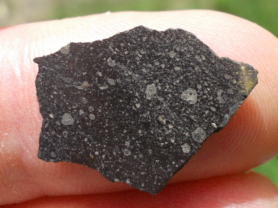 Smara 004 C2 Ung #8 - 0,6 g