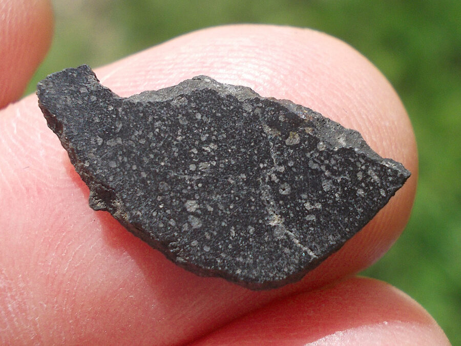 Smara 004 C2 Ung #9 - 0,5 g