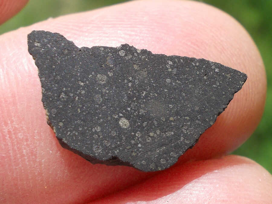 Smara 004 C2 Ung #11 - 0,5 g