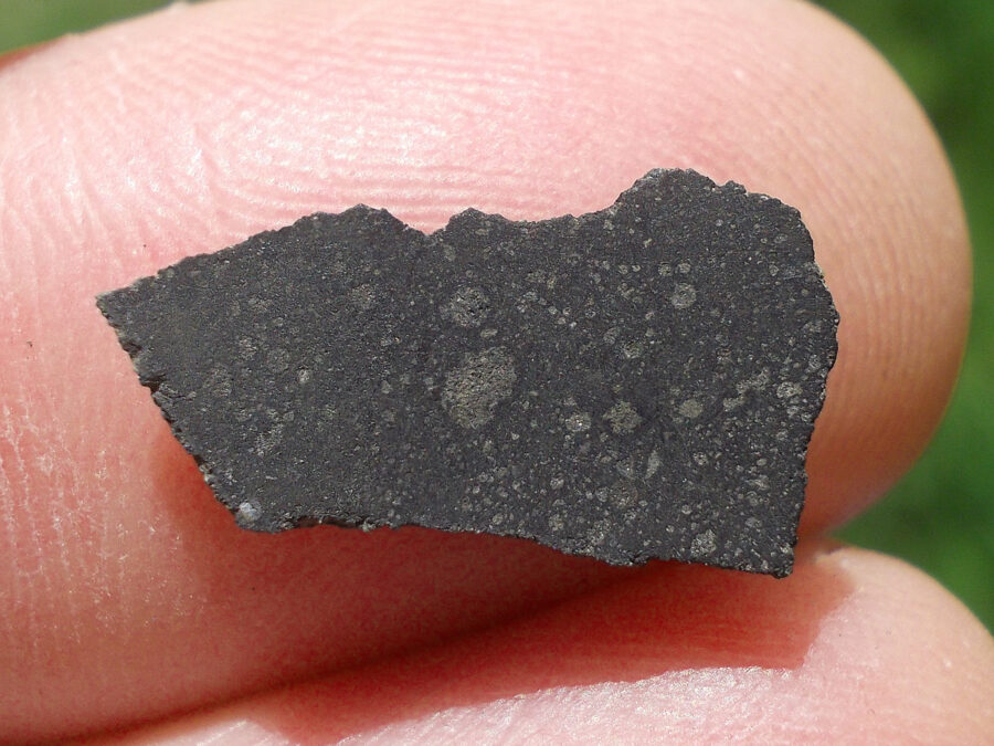 Smara 004 C2 Ung #12 - 0,5 g