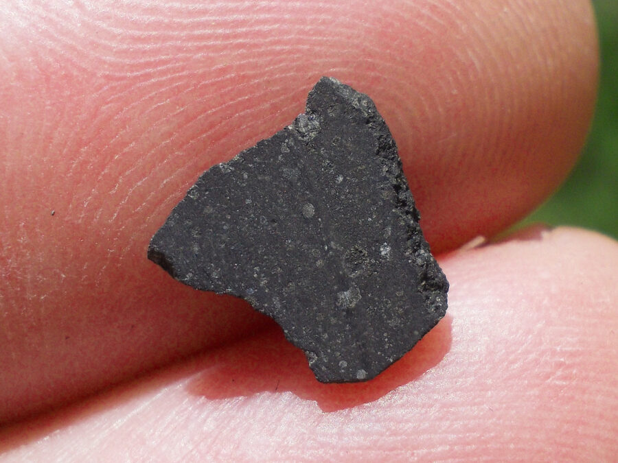 Smara 004 C2 Ung #13 - 0,13 g