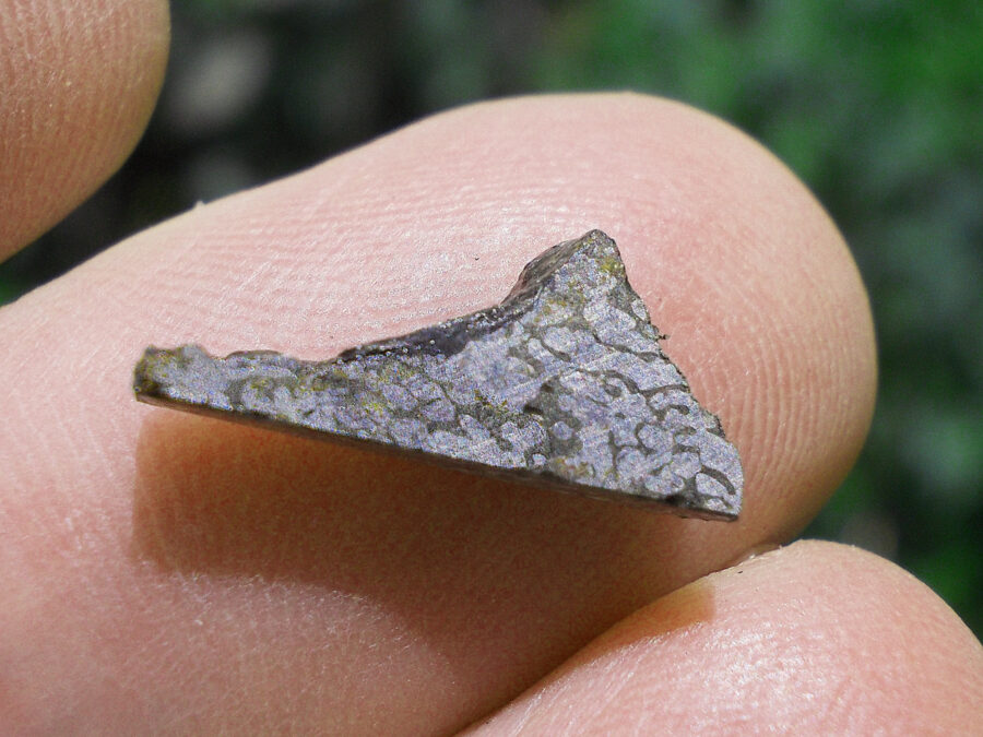 TURPAN 003 #25 Fer - 1,1 g