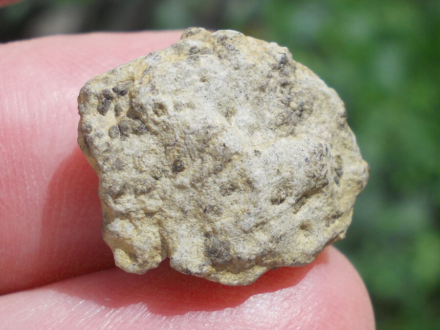 Tarkint 001 Mars Shergottite #20 - 4,2 g