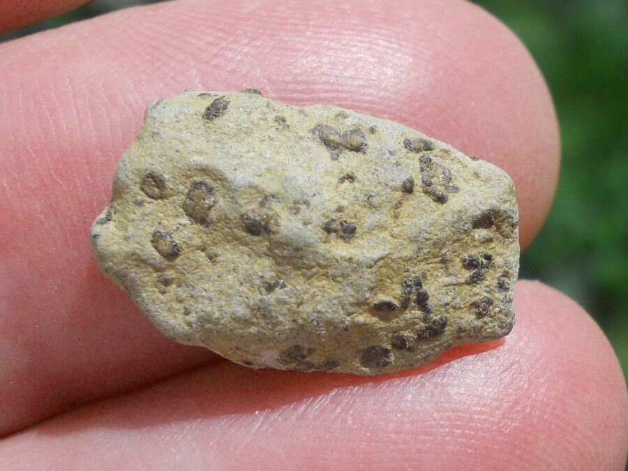 Tarkint 001 Mars Shergottite #21 - 1,6 g