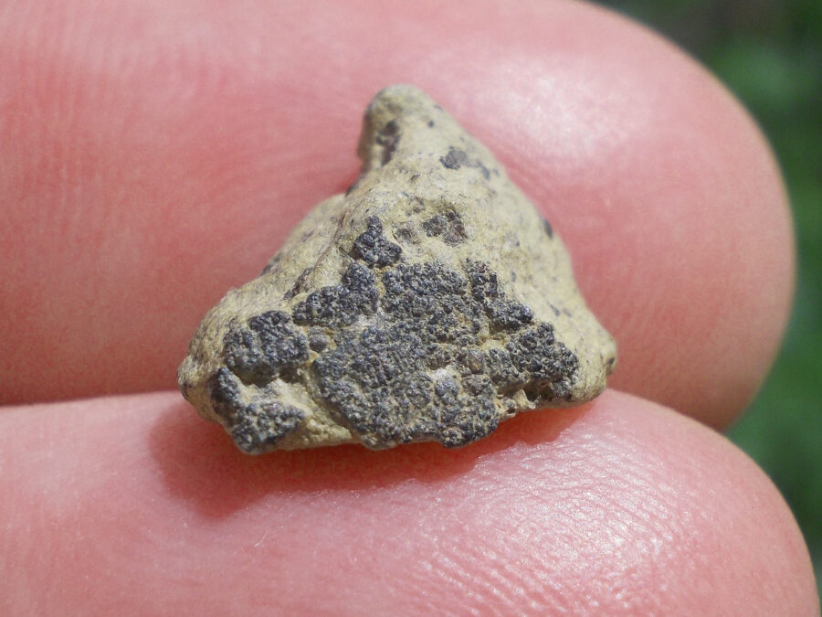 Tarkint 001 Mars Shergottite #22 - 1,2 g