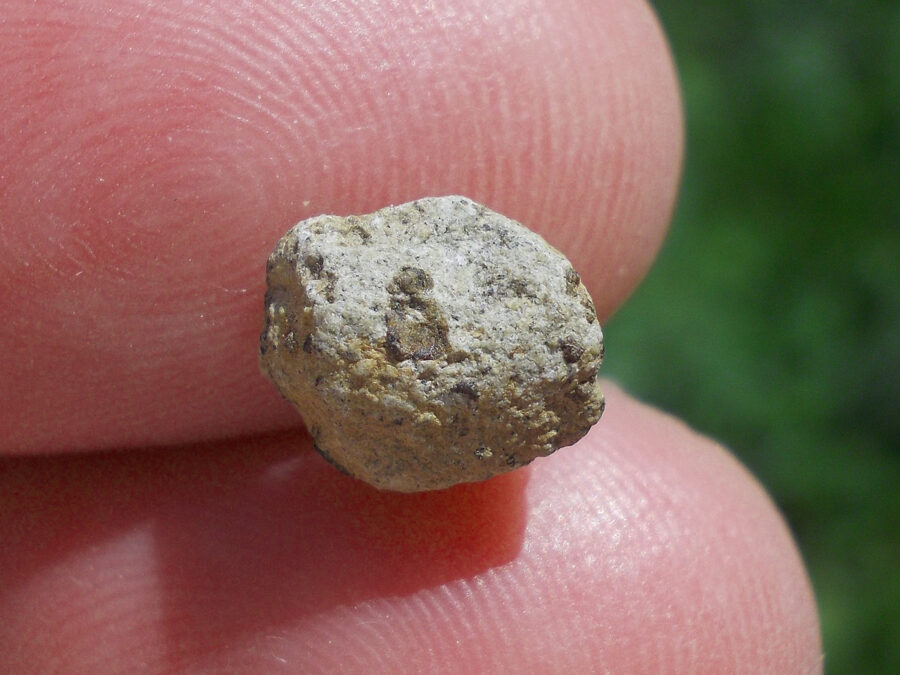 Tarkint 001 Mars Shergottite #24 - 0,5 g