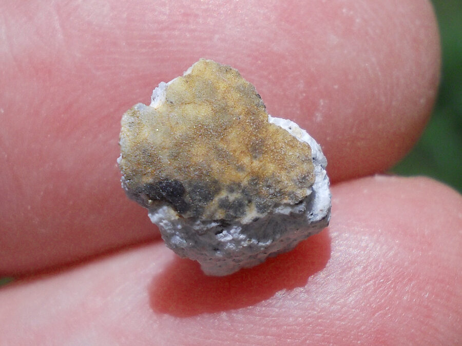 khemis Sidi Yahya #6 Aubrite - 0,9 g