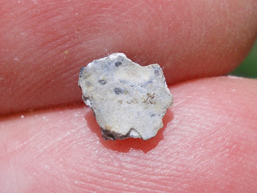 khemis Sidi Yahya #8 Aubrite - 0,11 g