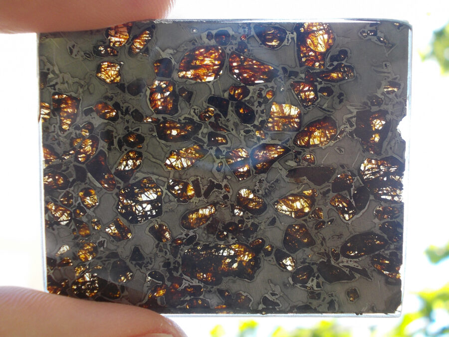 Gyarub Zangbo 001 Pallasite #29 - 10,5 g