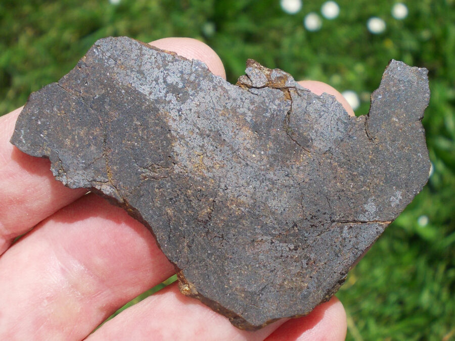 Oued Tilemsi 001 Winonaïte #1 - 15,8 g