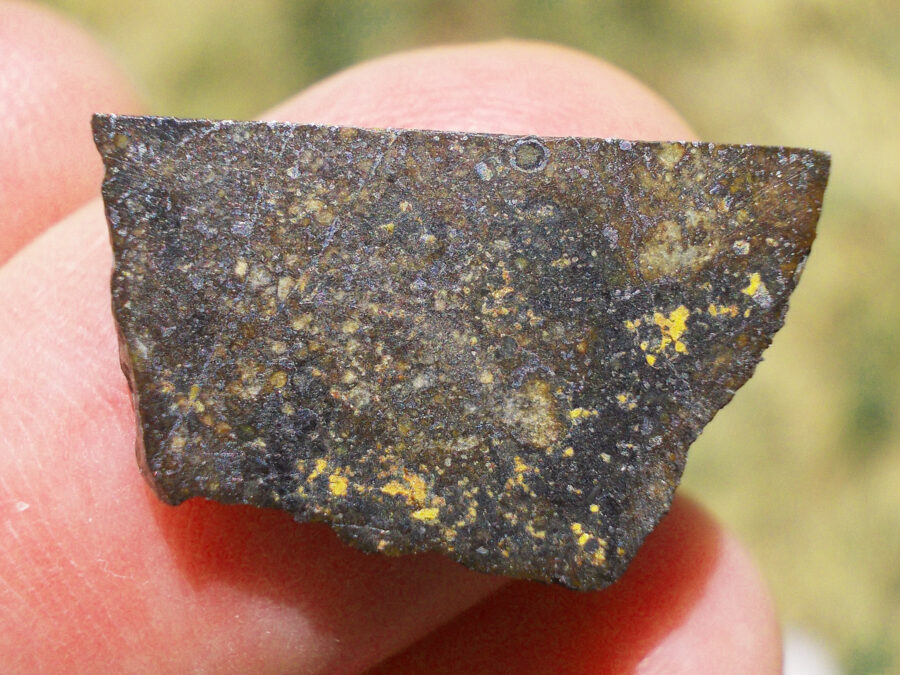 NWA 15878 OC4-melt breccia #19 - 2 g