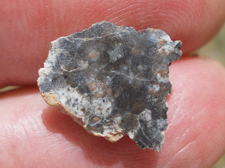 NWA 15169 Lunaire #33 - 1 g