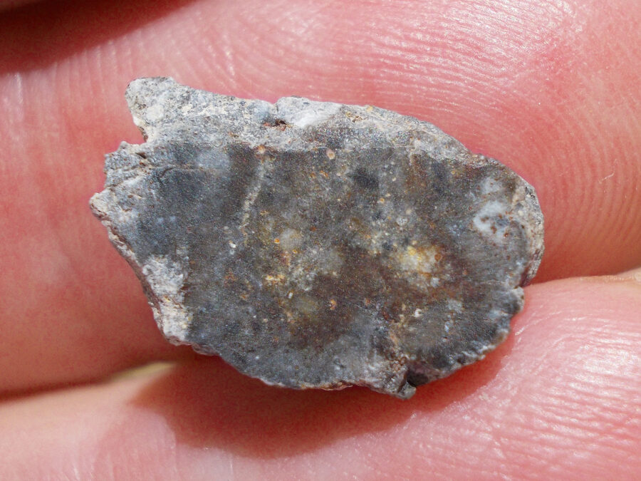 NWA 15169 Lunaire #35 - 1,6 g