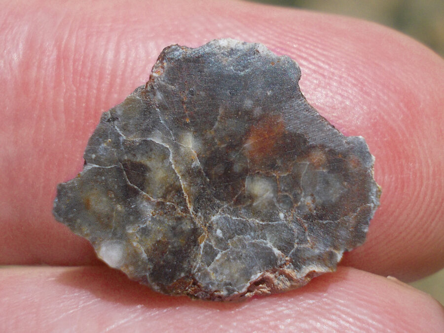 NWA 15169 Lunaire #36 - 1,1 g