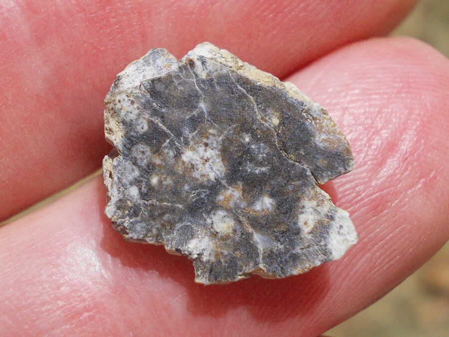 NWA 15169 Lunaire #37 - 1 g