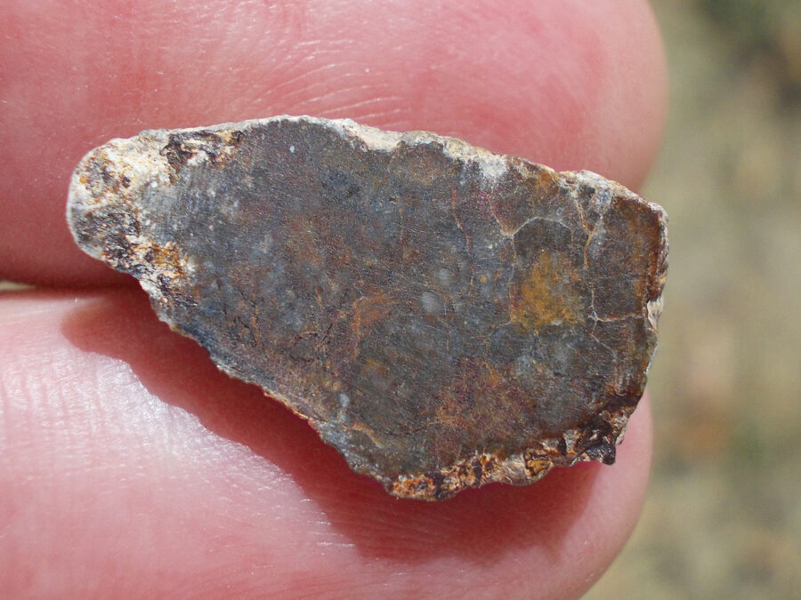 NWA 15169 Lunaire #39 - 2 g