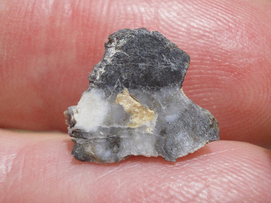 NWA 15169 Lunaire #38 - 0,8 g