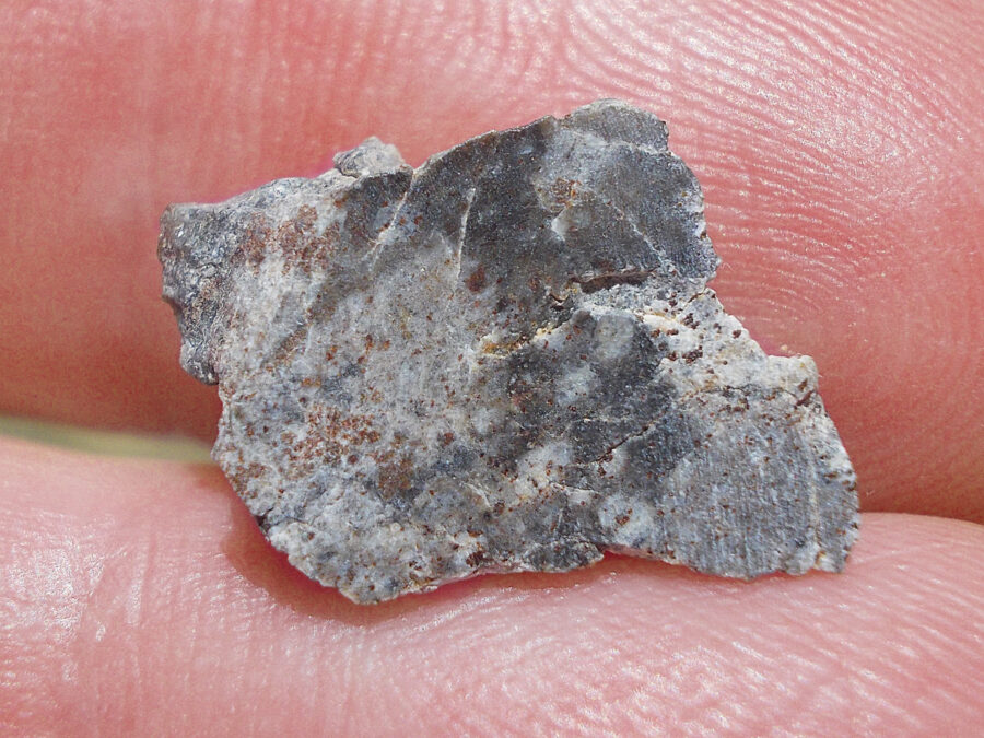 NWA 15169 Lunaire #40 - 0,9 g