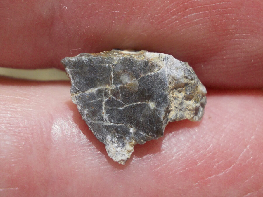 NWA 15169 Lunaire #41 - 0,4 g