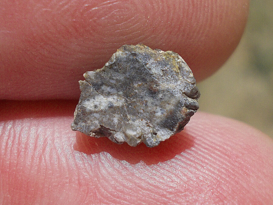 NWA 15169 Lunaire #42 - 0,4 g