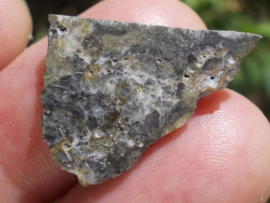 Nwa 16888 Lunaire #5 - 1,4 g