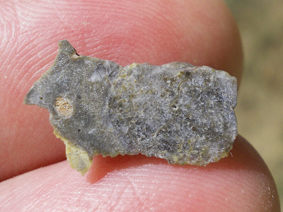 Nwa 16888 Lunaire #7 - 0,5 g