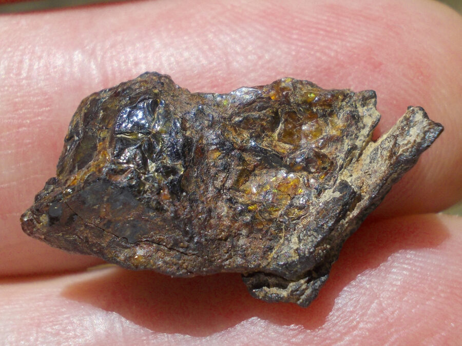 NWA 15971 Pallasite #26 - 2,8 g