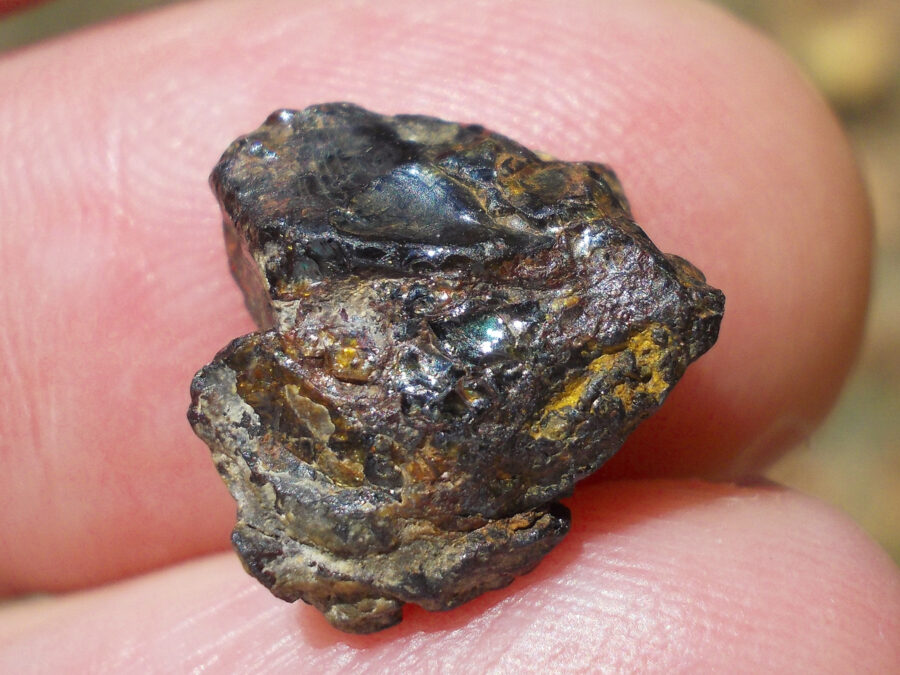 NWA 15971 Pallasite #28 - 1,6 g