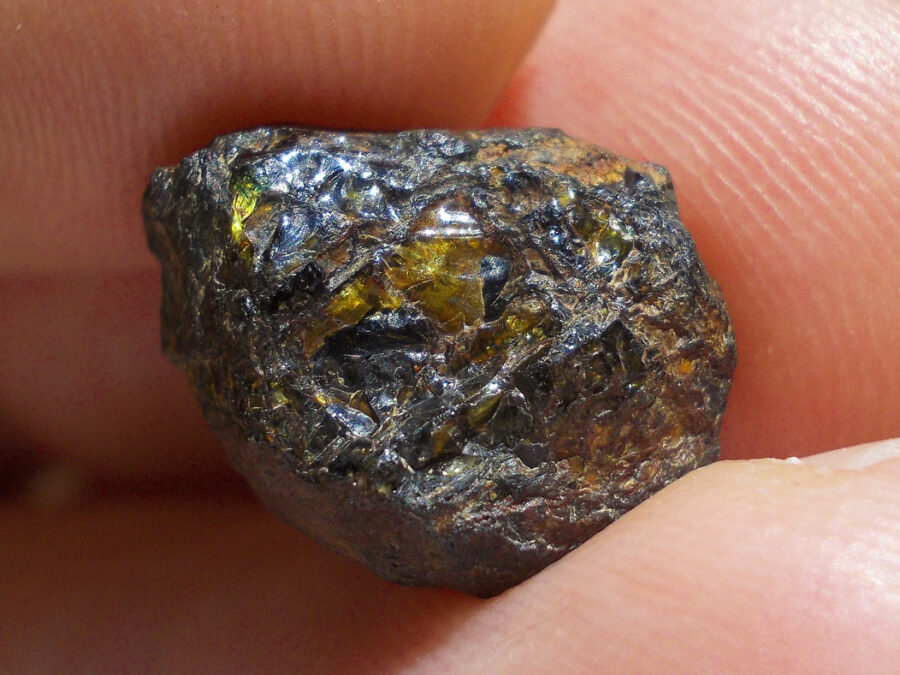 NWA 15971 Pallasite #33 - 2,5 g