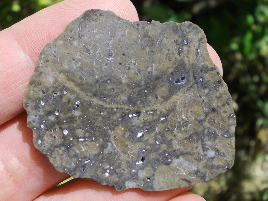 NEA 138 Lunaire #2 - 8,4 g