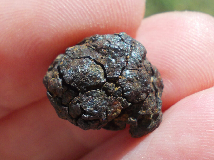 Vaca Muerta Mésosidérite #37 - 4,5 g