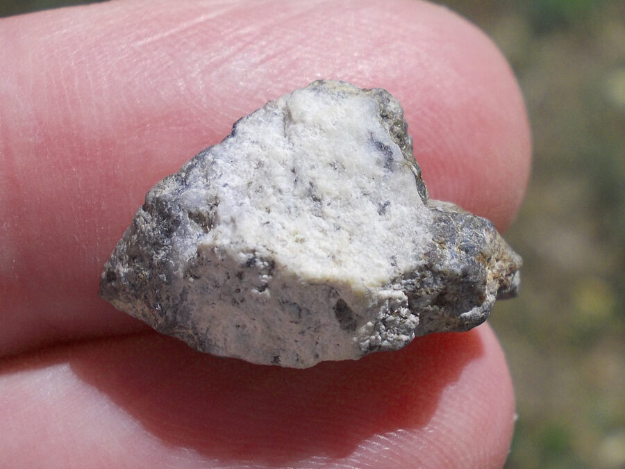 NWA 15169 Lunaire #44 - 2,7 g