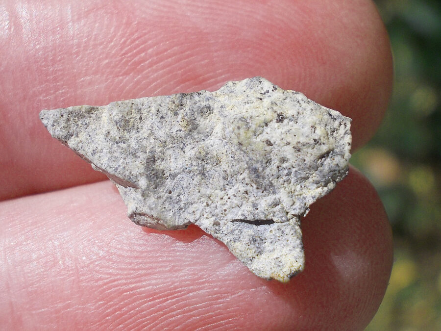 NWA 15169 Lunaire #45 - 1,4 g