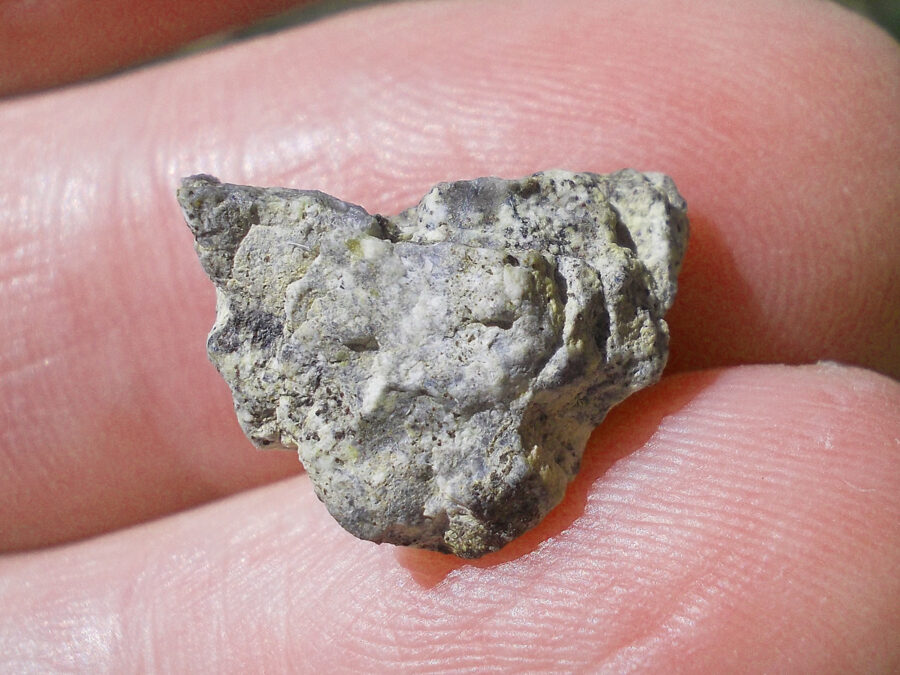 NWA 15169 Lunaire #46 - 1,6 g